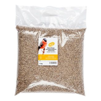 Auringonkukansiemen kuorittu 5kg