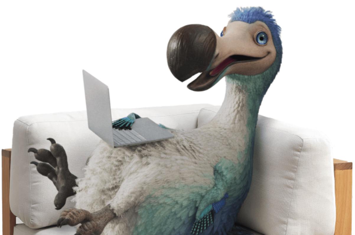 Up to $120 Cashback at Dodo