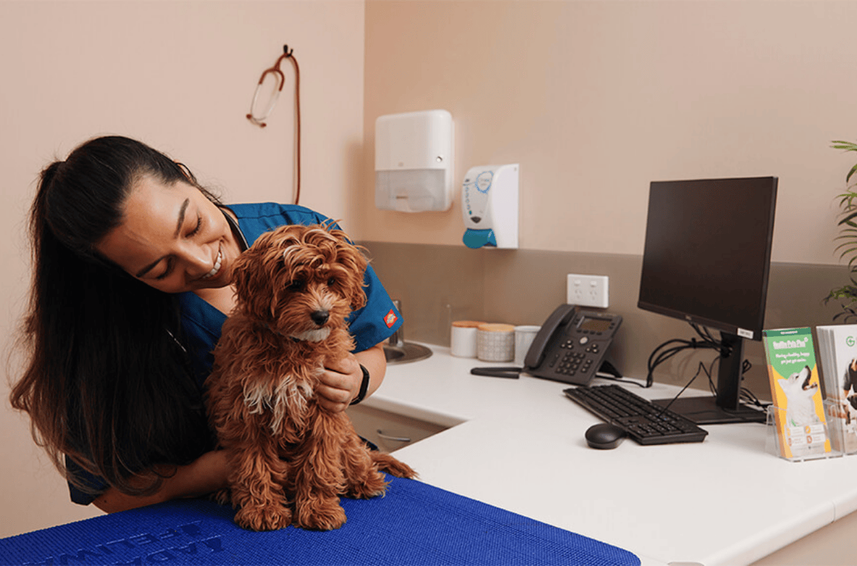 $22 Cashback at Greencross Vets