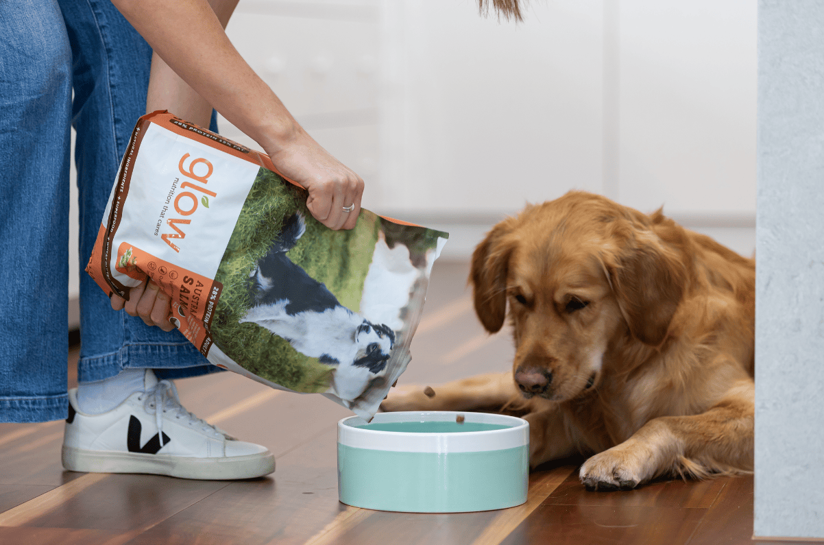 18% Cashback at Petstock