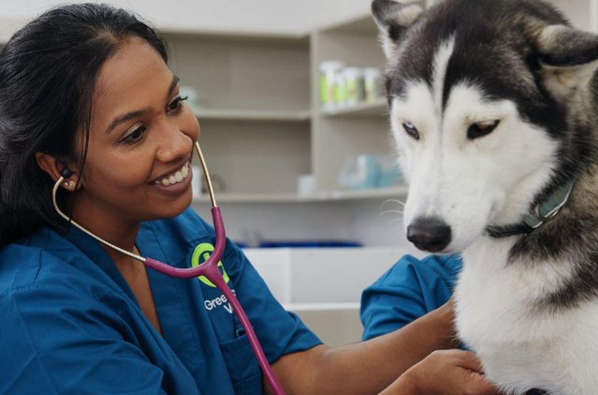Greencross Vets