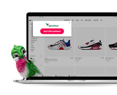 Browser extension preview