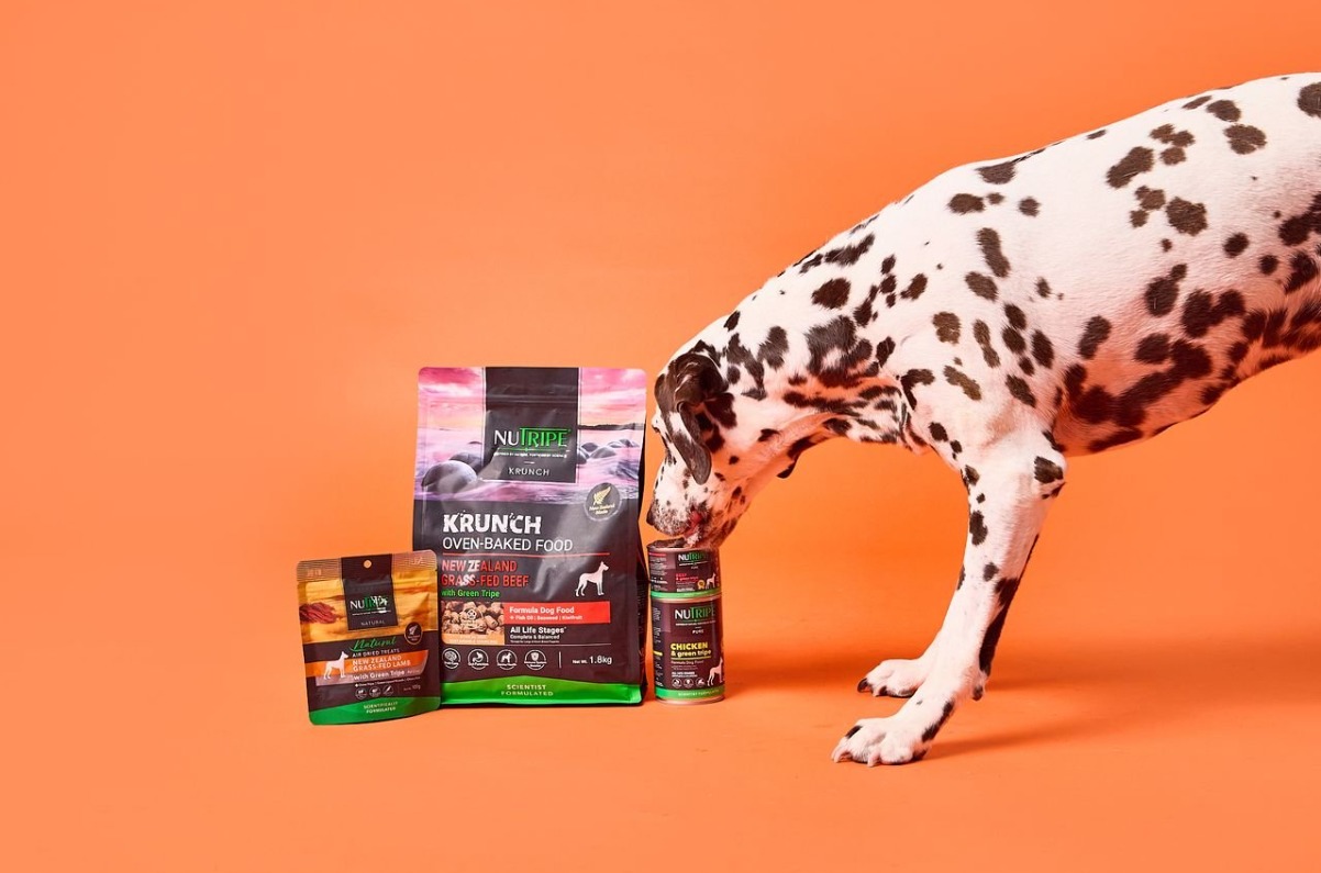 PetPost