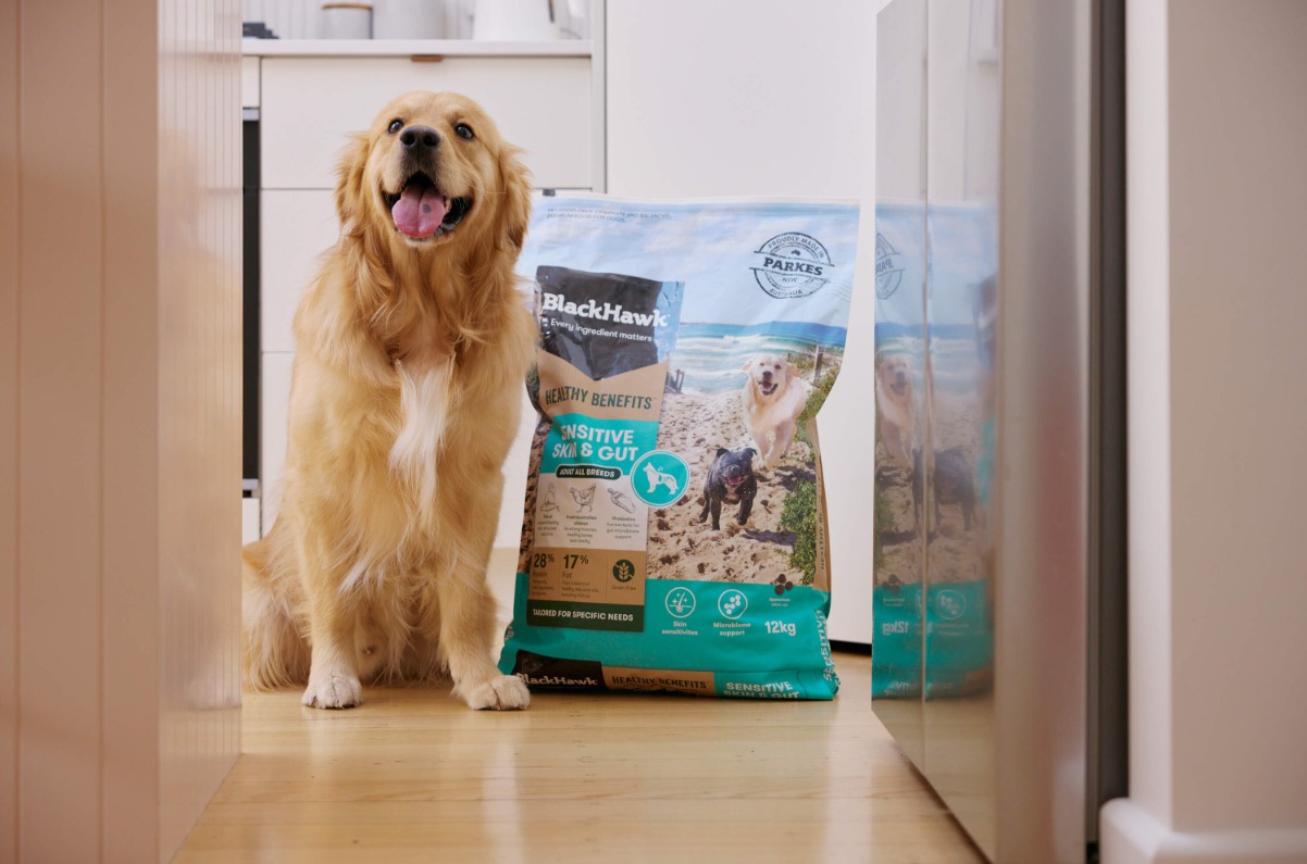 PetPost