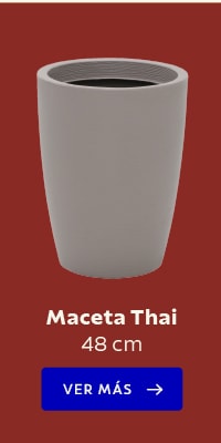 Maceta Thai