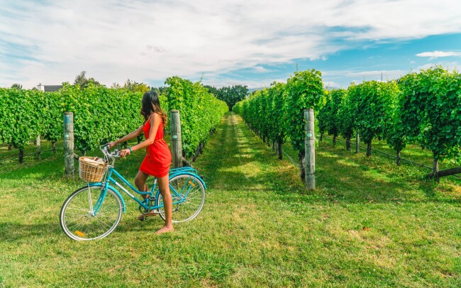 Jižní Morava s polopenzí a zapůjčením kol
