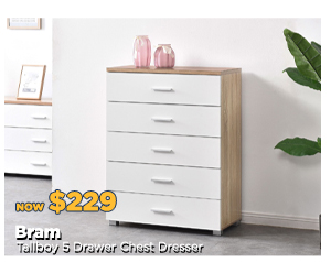 Bram Tallboy 5 Drawer Chest Dresser at Treasurebox