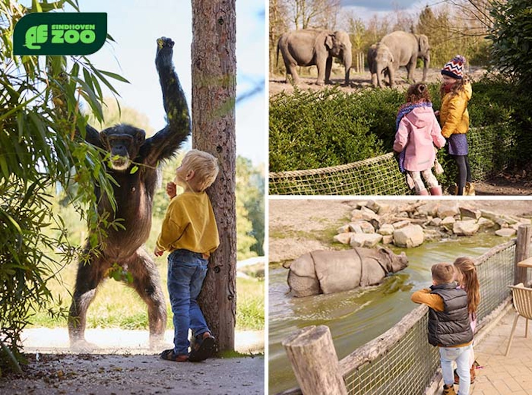 Entreeticket Eindhoven Zoo