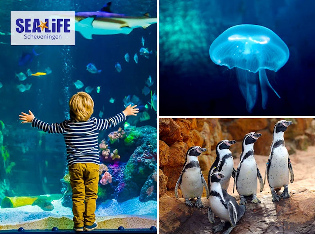 Entreeticket SEA LIFE Scheveningen 