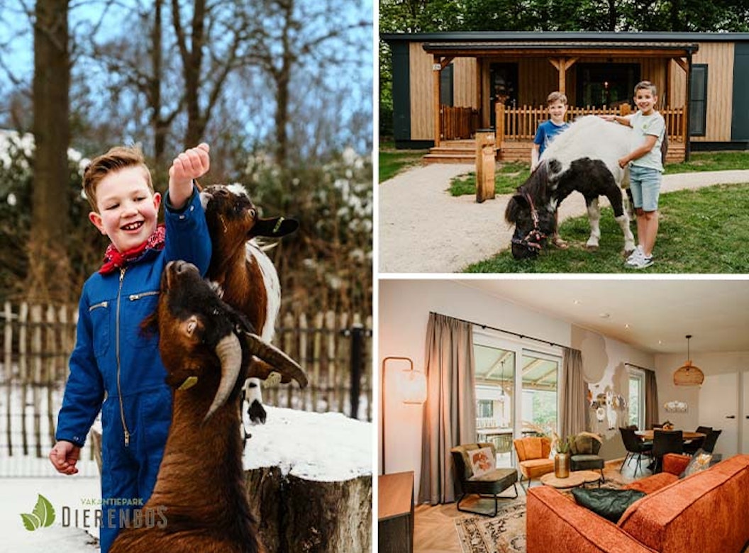 Weekend of midweek op Vakantiepark Dierenbos met toegang tot Beekse Bergen
