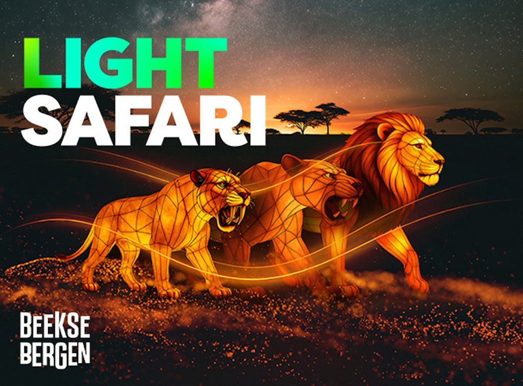 Entreeticket Light Safari Beekse Bergen