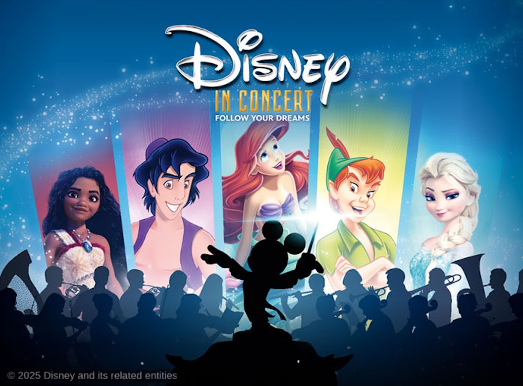 2e rang ticket Disney in Concert