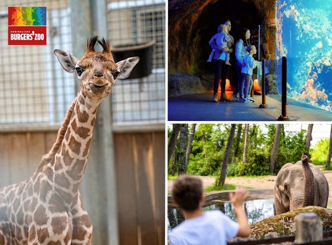 Entreeticket Burgers' Zoo