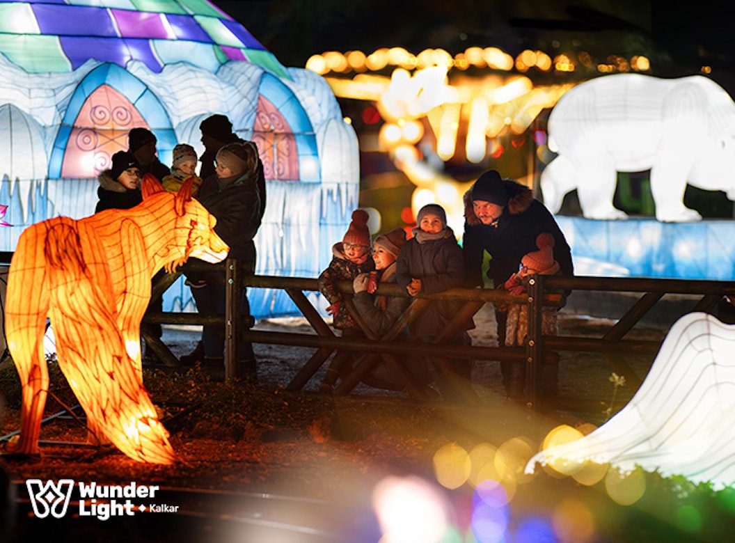 Entreeticket Wunderlight in Wunderland Kalkar