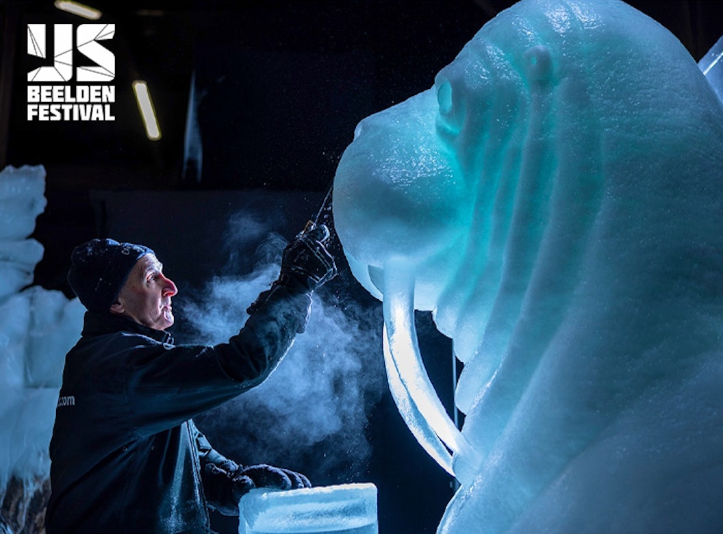 Entreeticket Het Nederlands IJsbeelden Festival