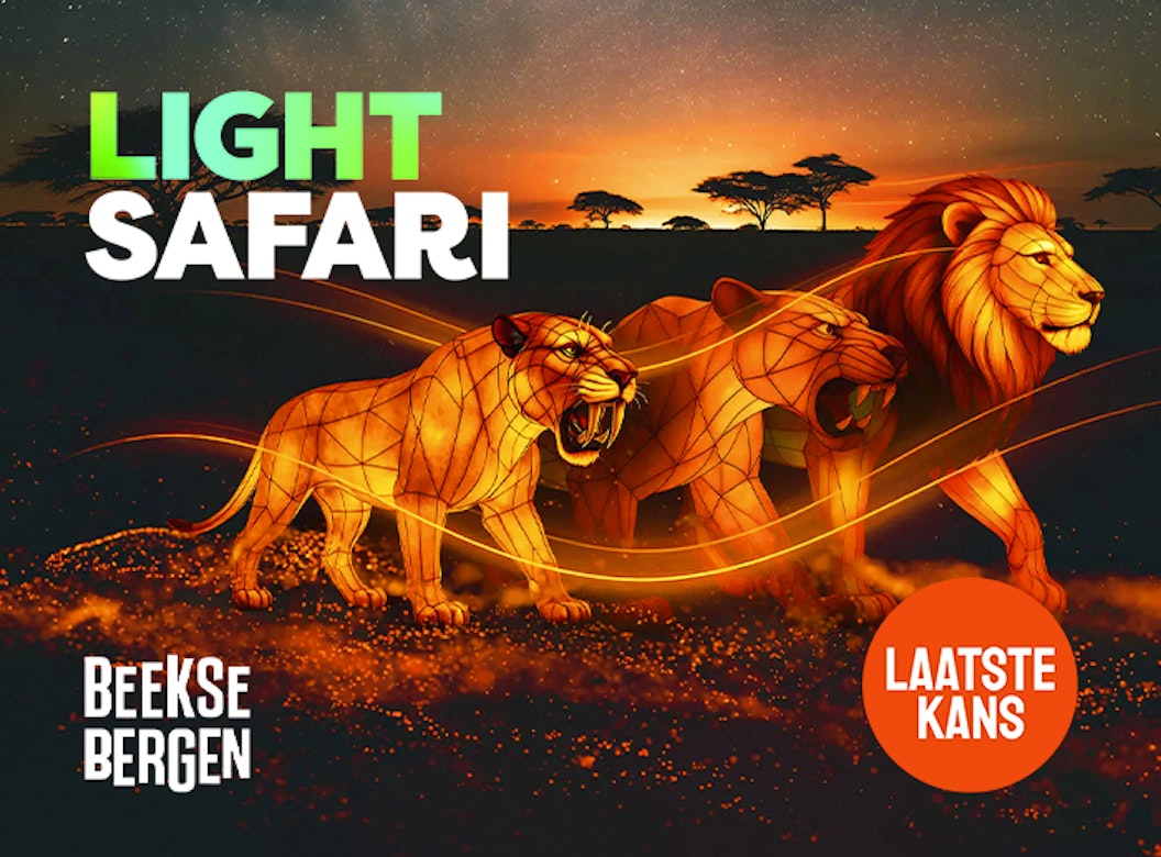 Entreeticket Light Safari Beekse Bergen