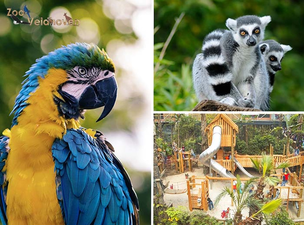 Entreeticket Zoo Veldhoven