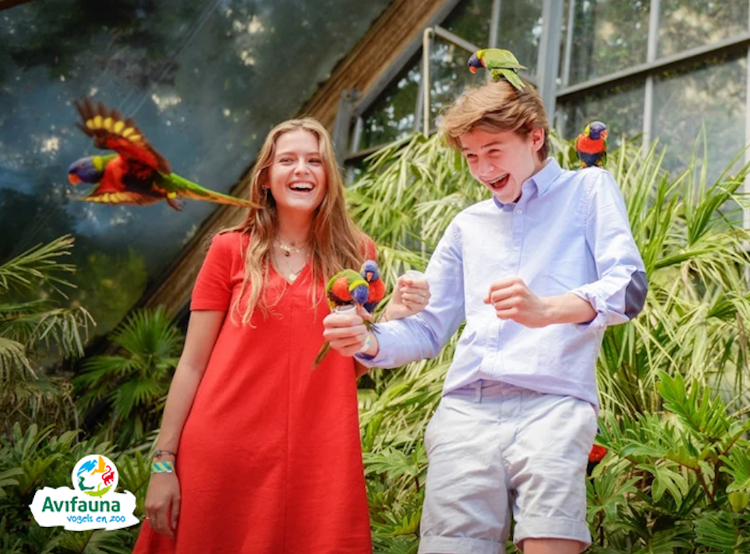 Entreeticket Vogelpark Avifauna + XXL speeltuin