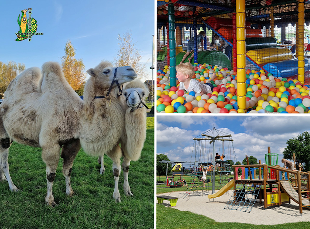 Entreeticket Speelpark & Maisdoolhof Voorthuizen