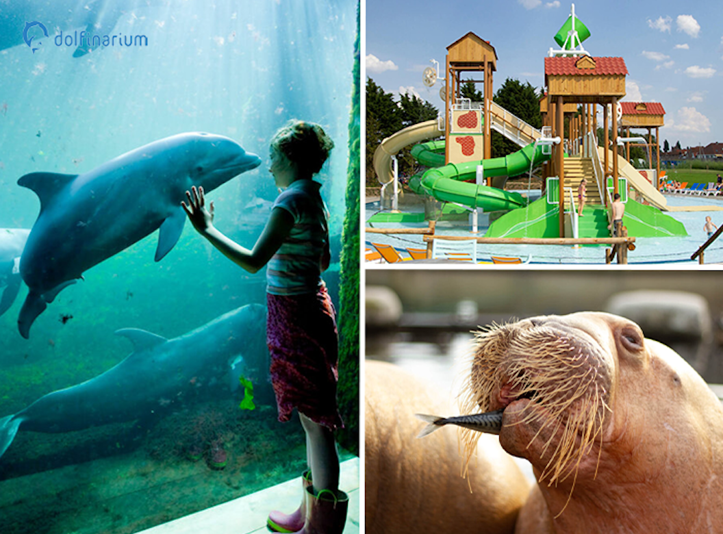 Dolfinarium tickets