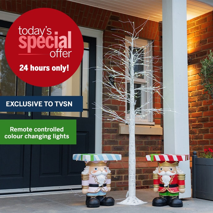 Today's Special Offer Enchanted Garden Smart Colour Changing LED Tree with Remote