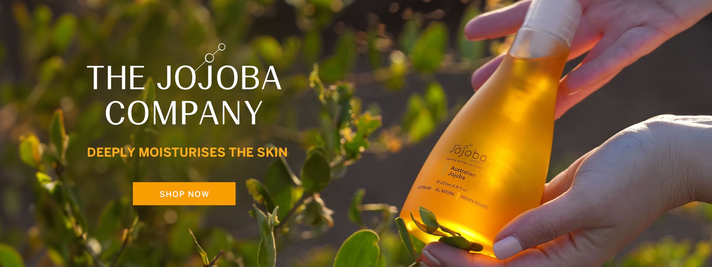 The Jojoba Company