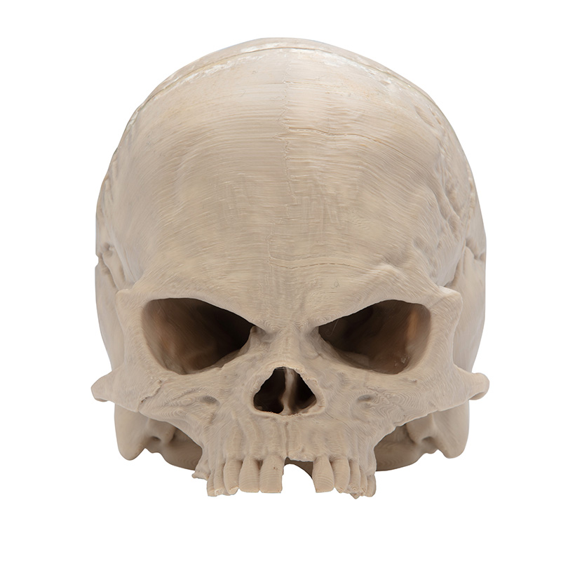 Image of Apocalypse Now Cap Skull