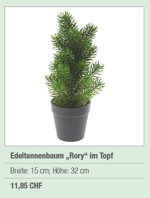 Edeltannenbaum 