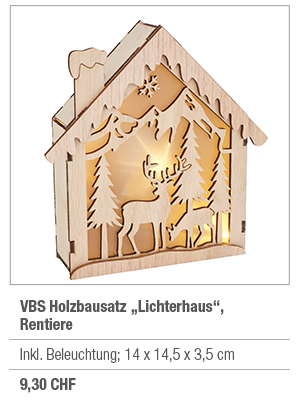 VBS Holzbausatz 