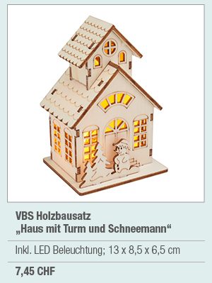 VBS Holzbausatz 