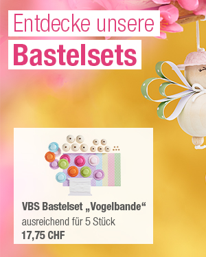 VBS Bastelset 