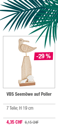 VBS Seemöwe auf Poller