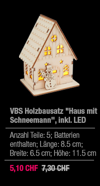 VBS Holzbausatz 