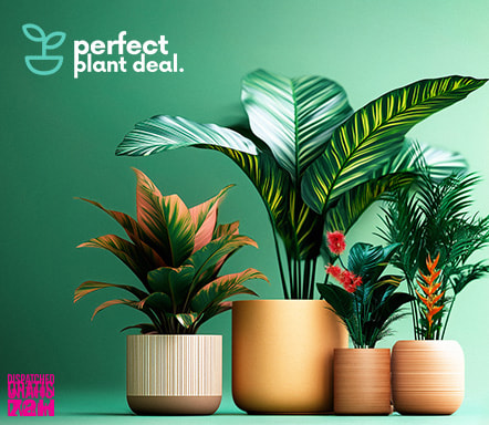 Perfect Plant Deal