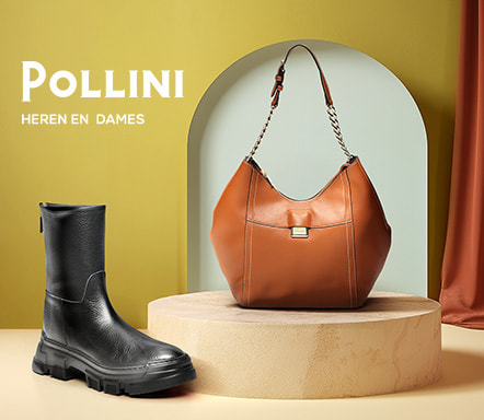 Pollini