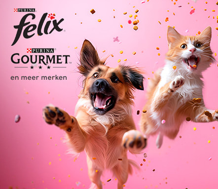 Felix, Gourmet & One