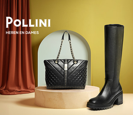 Pollini