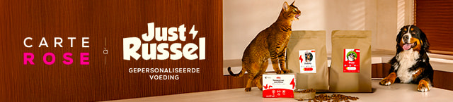 JRUSSEL10_BENL_TOP_2108