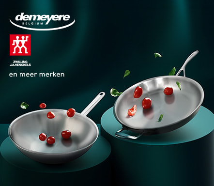 Demeyere & Zwilling