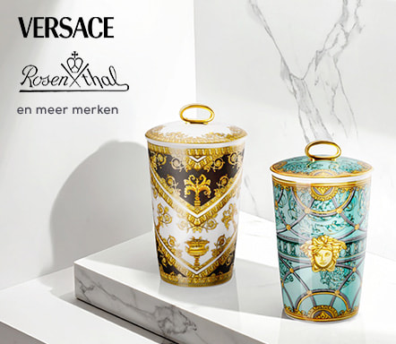 Rosenthal x Versace