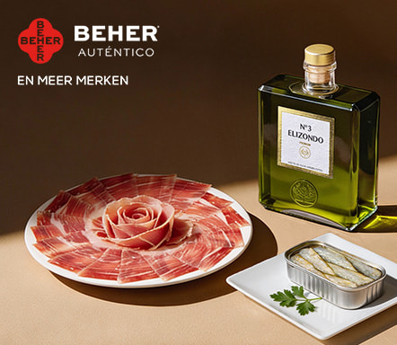 Gastronomía Española 