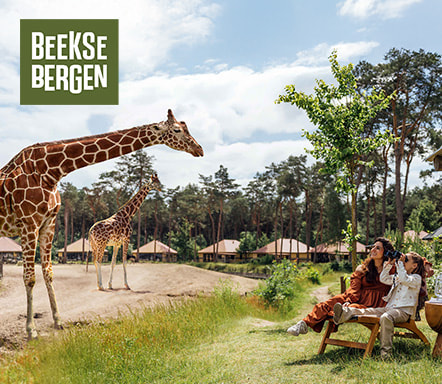 Beekse Bergen | Safari Resort & Lake Resort