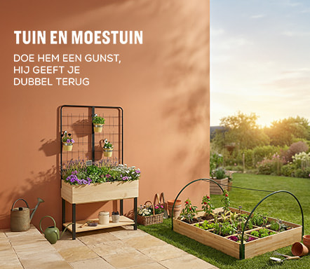 Chambre, lits coffre