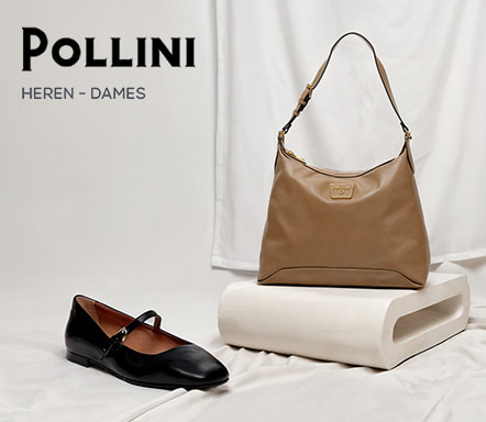 Pollini