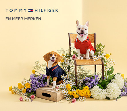 Ralph Lauren Pets