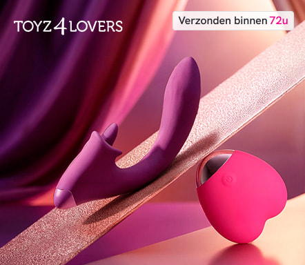 Toyz4Lovers
