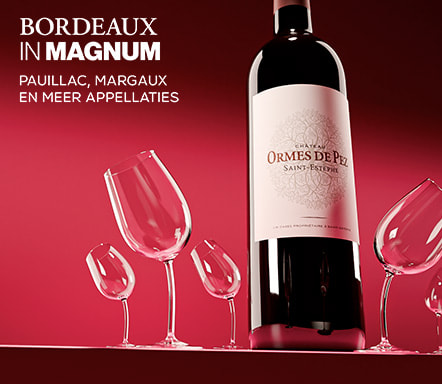 Bordeaux en magnum