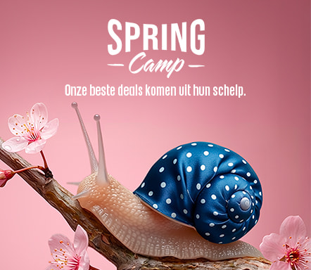 Spring Camp