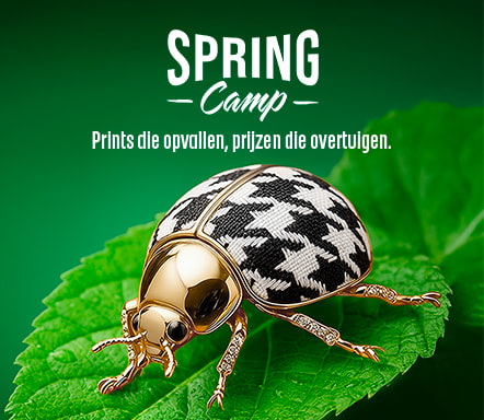 Spring Camp