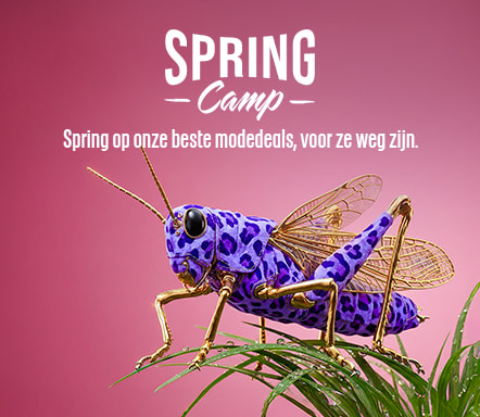 SPRING CAMP